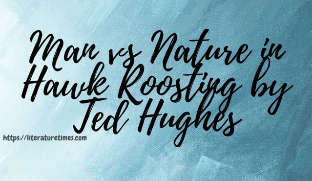 Man vs Nature in Hawk Roosting by Ted Hughes