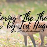 Exploring-_The-thought-Fox_-by-Ted-Hughes-1