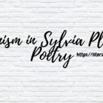 Feminism in Sylvia Plath's Poetry (1)