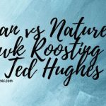 Man-vs-Nature-in-Hawk-Roosting-by-Ted-Hughes-1