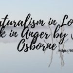 Naturalism-in-Look-Back-in-Anger-by-John-Osborne-1