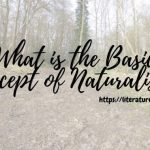 What is the Basic Concept of Naturalism