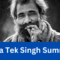 The Heartbreaking Summary of Toba Tek Singh by Sadat Hasan Manto