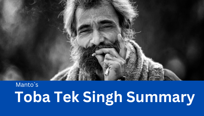The Heartbreaking Summary of Toba Tek Singh by Sadat Hasan Manto