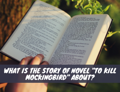 What is the Story of Novel To Kill Mockingbird About