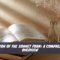 Evolution of the Sonnet Form A Comprehensive Overview