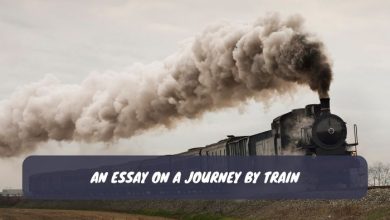 An Essay on A Journey by Train