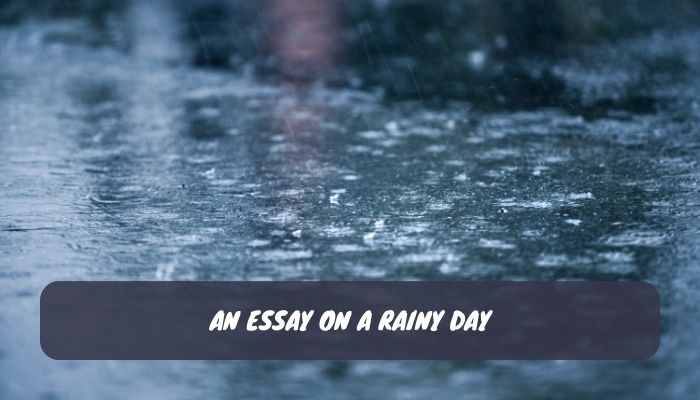 An Essay on A Rainy Day