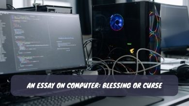 An Essay on Computer Blessing or Curse