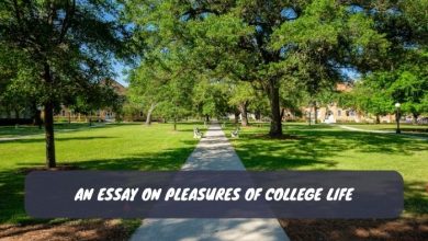 An Essay on Pleasures of College Life