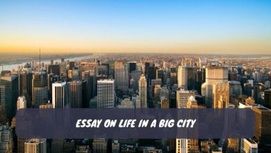 Essay on Life in a Big City