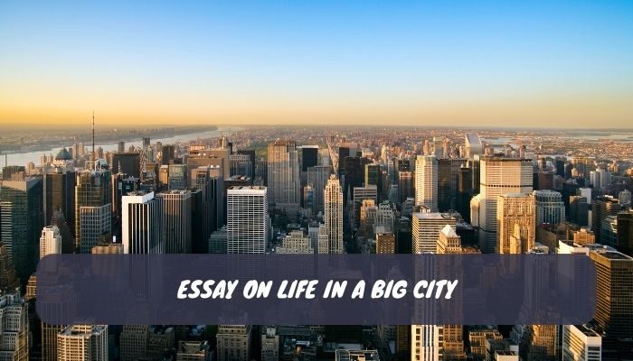 Essay on Life in a Big City
