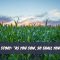 Moral Story: "As You Sow, So Shall You Reap" 16 Moral Story As You Sow, So Shall You Reap