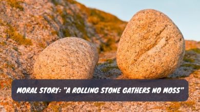 a rolling stone gathers no moss