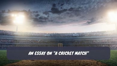 An Essay on A Cricket Match
