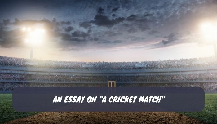 An Essay on A Cricket Match
