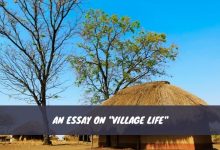An Essay on Village Life