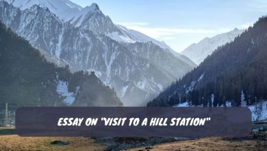 Essay on Visit to a Hill Station