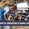 Theme of Corruption in Animal Farm