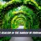 Magical Realism in The Garden of Forking Paths
