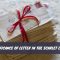 Significance of Letter in The Scarlet Letter 10 Significance of Letter in The Scarlet Letter