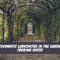 The Enigmatic Labyrinths in the Garden of Forking Paths
