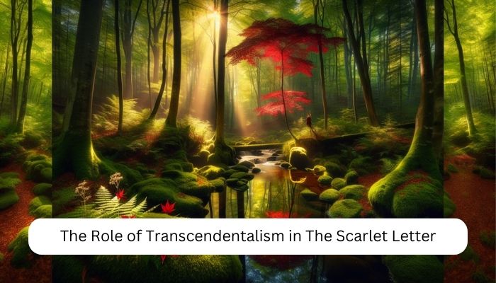 The Role of Transcendentalism in The Scarlet Letter 8 The Role of Transcendentalism in The Scarlet Letter