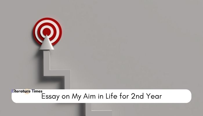 essay on my aim in life