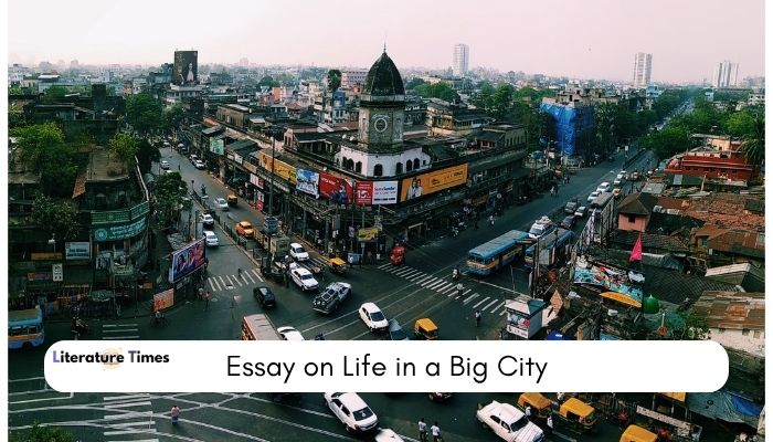 life in a big city essay