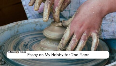 Essay on My Hobby for 2nd Year 36 Essay on My Hobby for 2nd Year